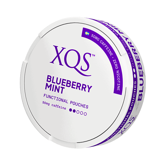 XQS Blueberry Mint Zero