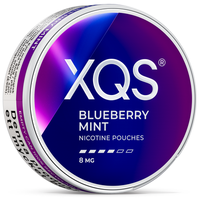 XQS Blueberry Mint 8 MG