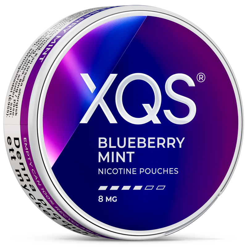 XQS Blueberry Mint 8 MG