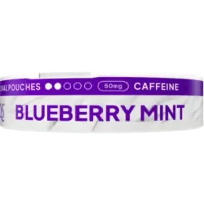 XQS Blueberry Mint Zero