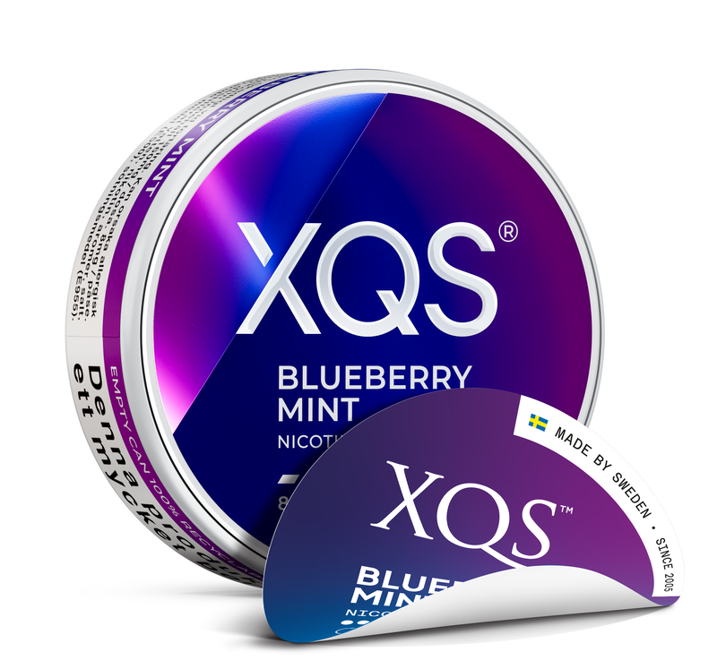 XQS Blueberry Mint Slim 4 MG