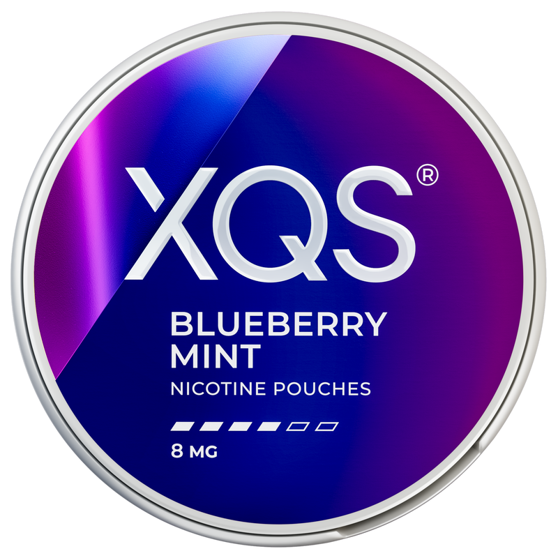 XQS Blueberry Mint 8 MG