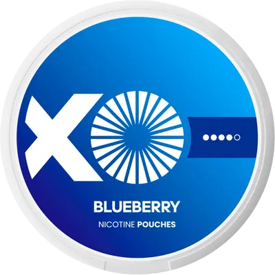 XO Blueberry