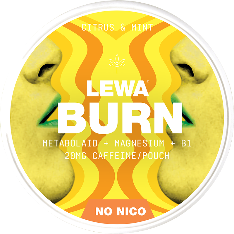 LEWA Citrus & Mint Nikotinfritt