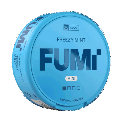 FUMi Freezy Mint Mini Regular