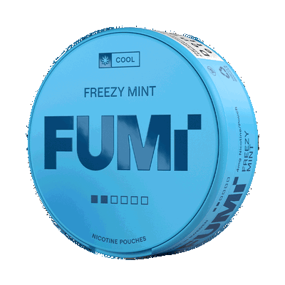 FUMi Freezy Mint Regular