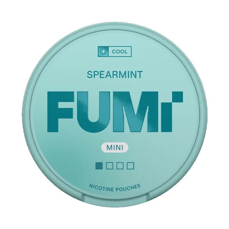 FUMi Spearmint Mini Regular