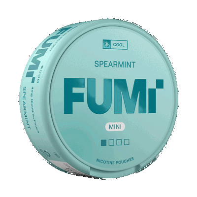 FUMi Spearmint Mini Regular