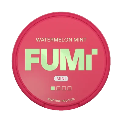 FUMi Watermelon Mint Mini Regular fram