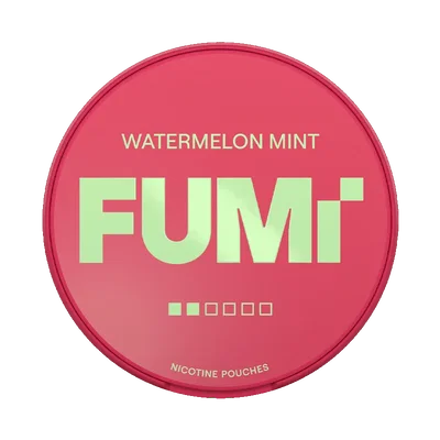 FUMi Watermelon Mint Regular
