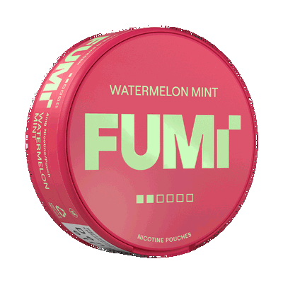 FUMi Watermelon Mint Regular