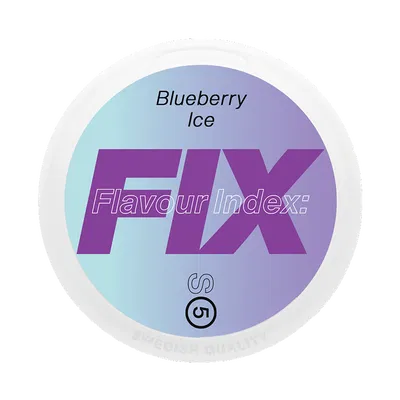 FIX Blueberry Ice S5 fram