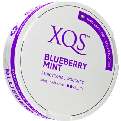 XQS Blueberry Mint Zero
