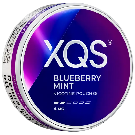 XQS Blueberry Mint Slim 4 MG