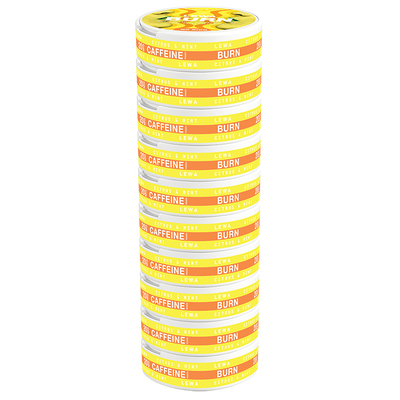 LEWA Citrus & Mint Nikotinfritt