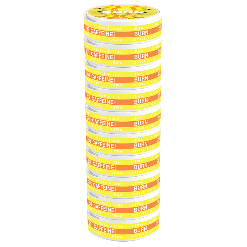 LEWA Citrus & Mint Nikotinfritt