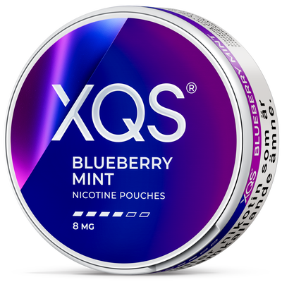 XQS Blueberry Mint 8 MG