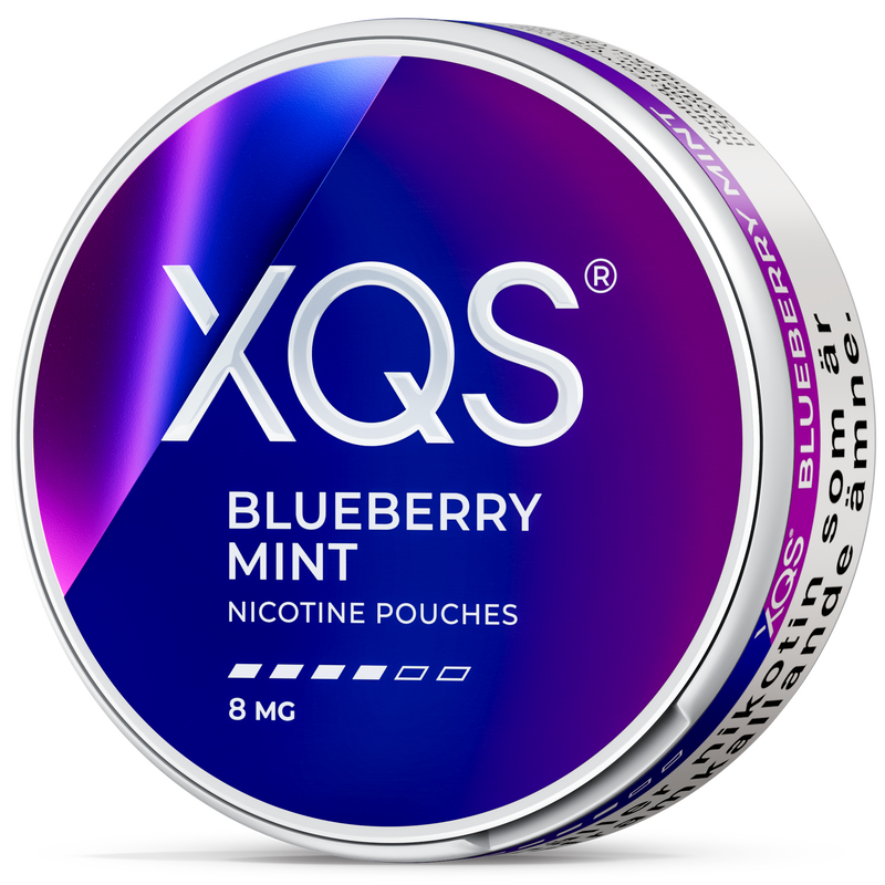 XQS Blueberry Mint 8 MG