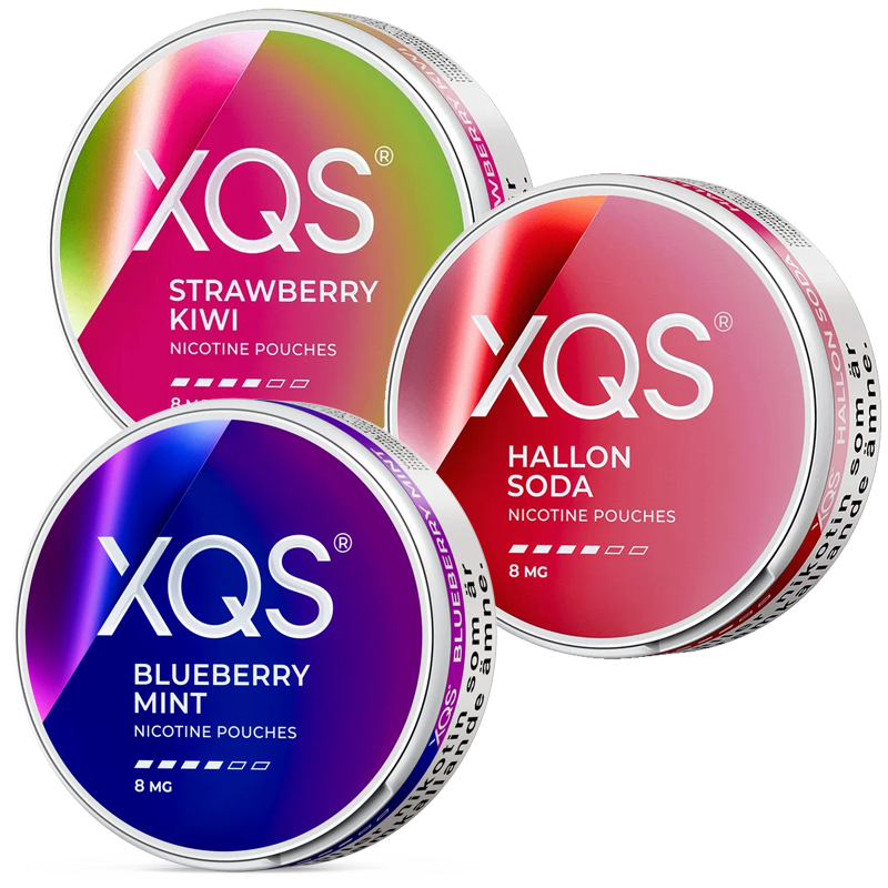 XQS Mixpack 8 MG 3-pack