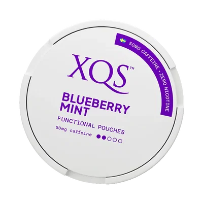 XQS Blueberry Mint Zero