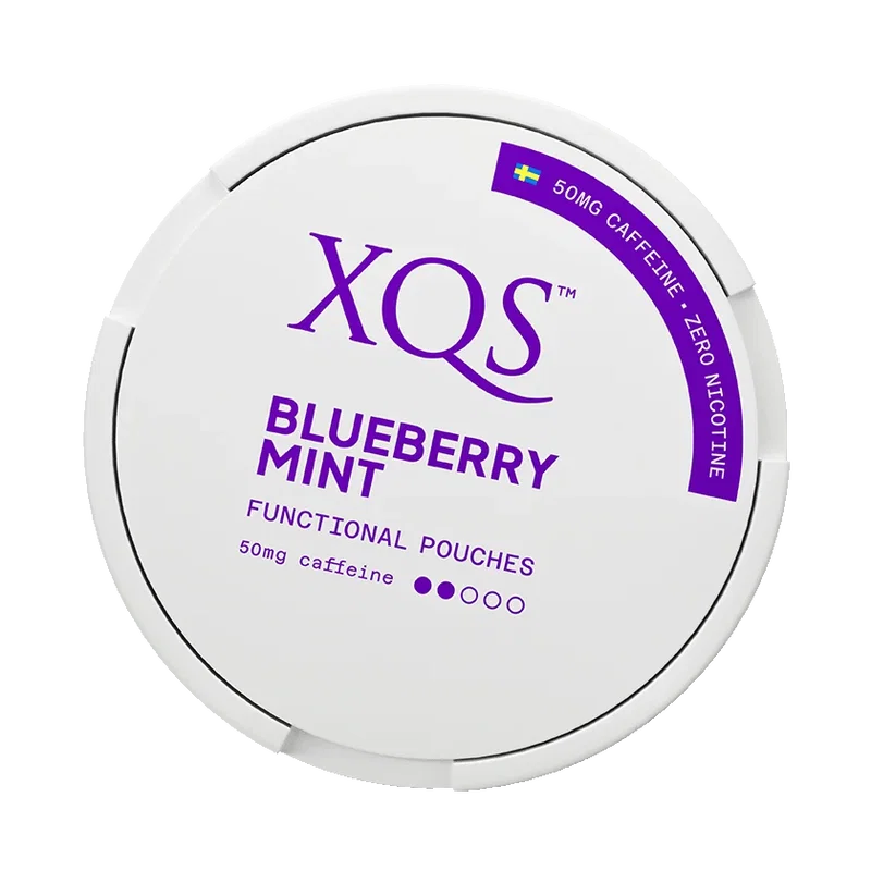 XQS Blueberry Mint Zero