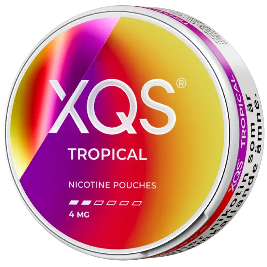 XQS Mixpack 4 MG 3-pack