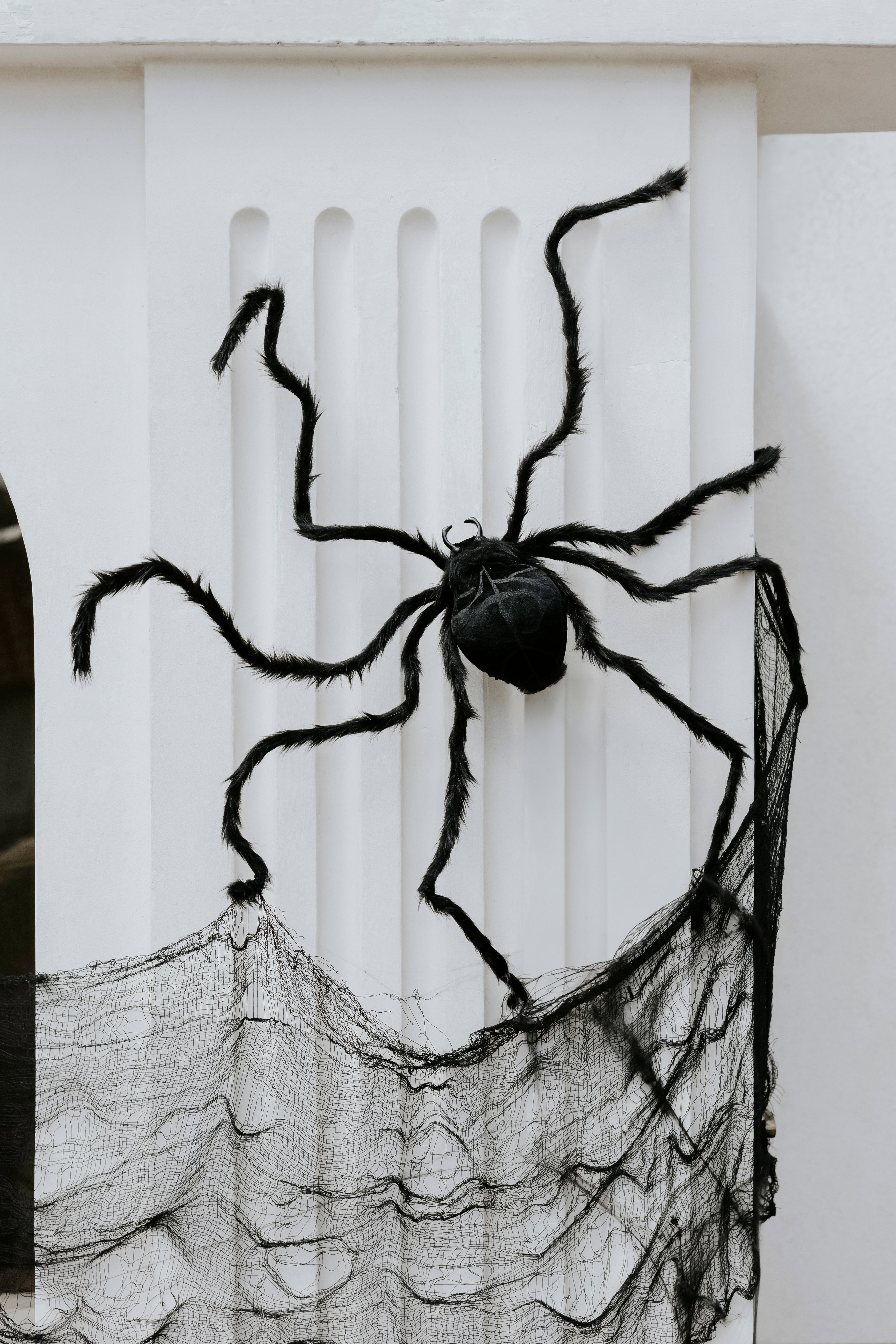 Svart Nät Dekoration Till Halloween