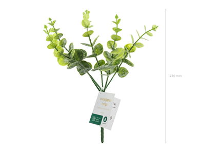 Eucalyptuskvist