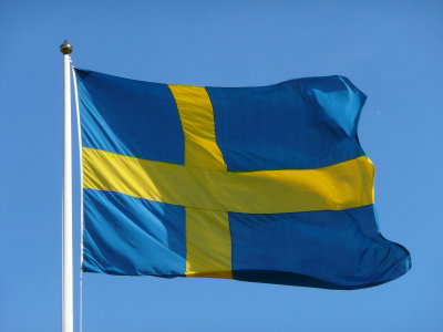 🎇 Sveriges nationaldag