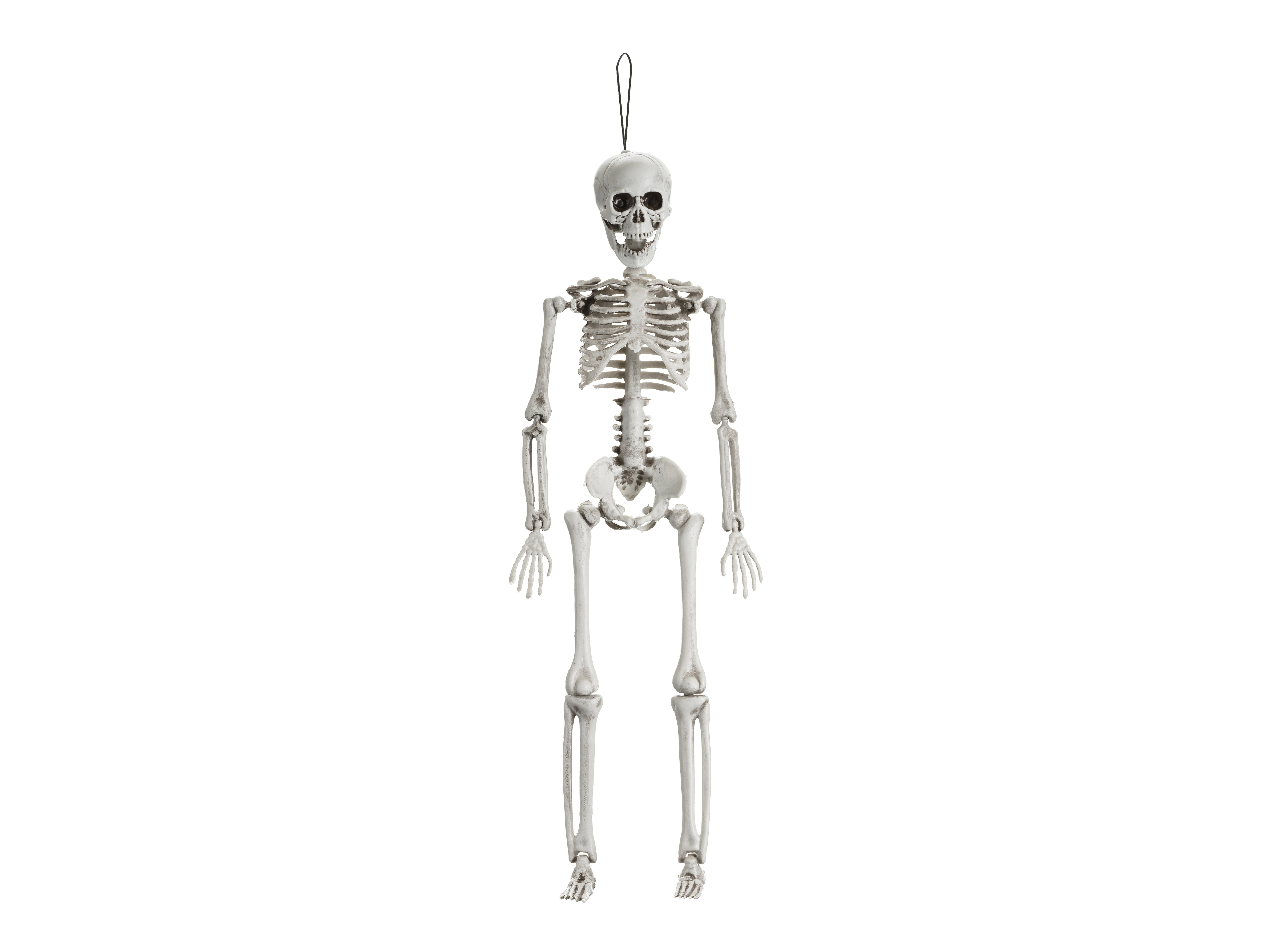 Skelett Dekoration 40cm