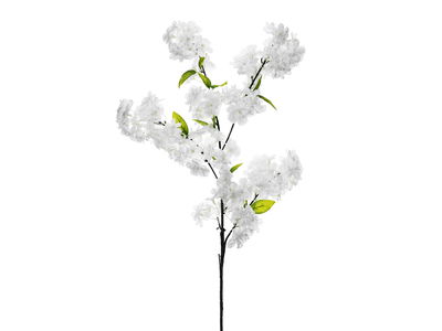 KWT2-008_01_H (1)