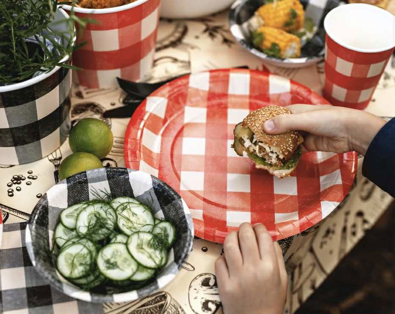 Rutiga Papptallrikar