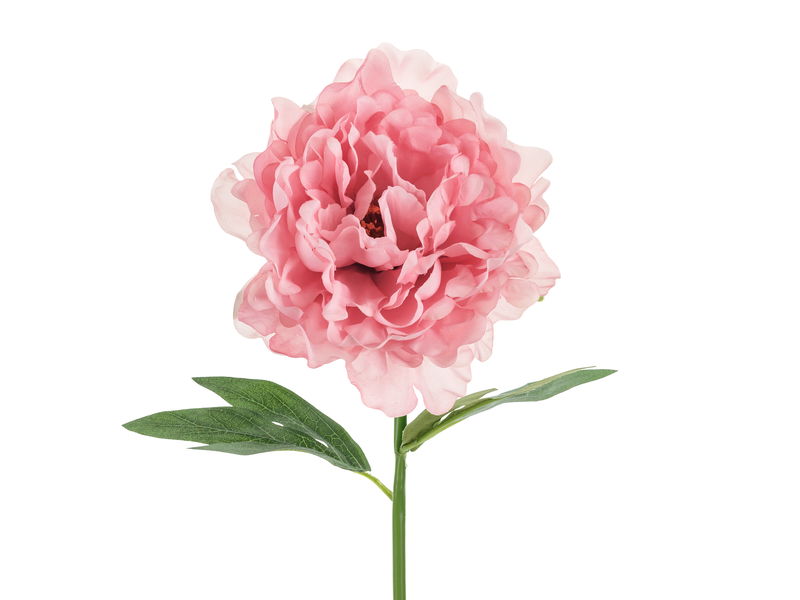 Konstgjord Blomma Pion Rosa