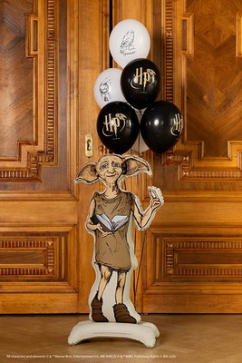 Stående folieballong Harry Potter Dobby – 54 × 105 cm