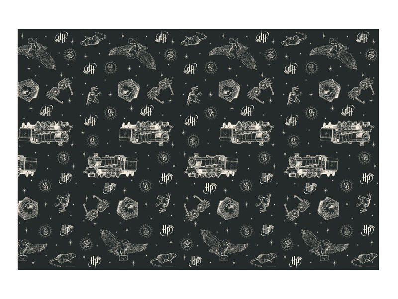Pappersduk Harry Potter – svart, 180 × 120 cm