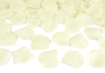 Rosenblad Cream 500 pack