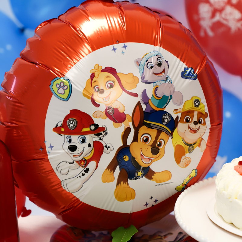 Paw Patrol, kalaspaket, 4år