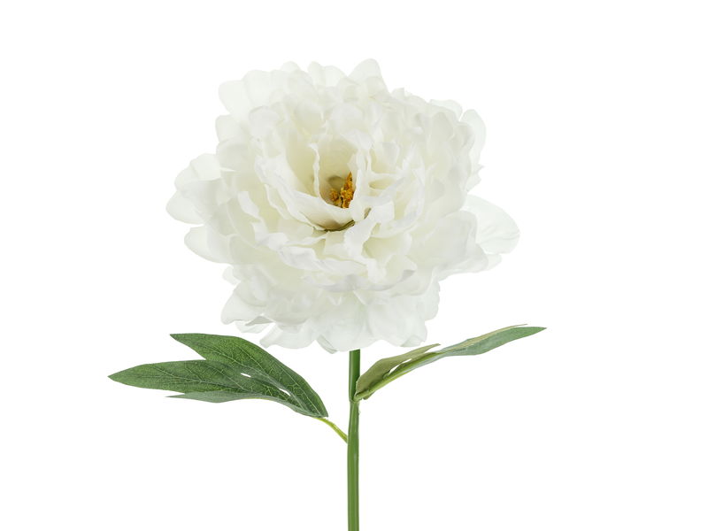 Konstgjord Blomma Pion Vit