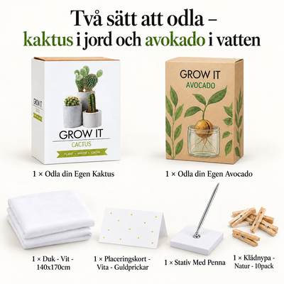 Två sätt att odla – kaktus i jord och avokado i vatten – innehåll och antal försäljningsförpackningar