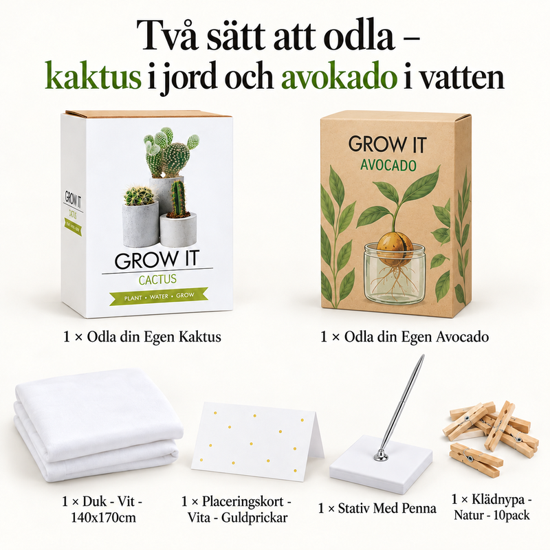 Två sätt att odla – kaktus i jord och avokado i vatten – innehåll och antal försäljningsförpackningar