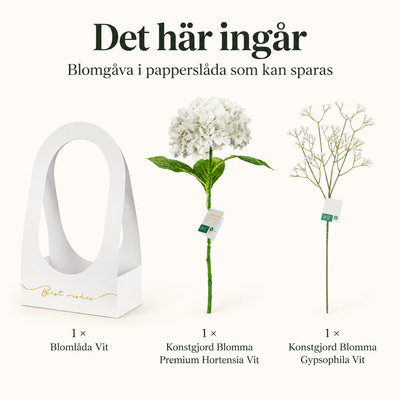 Blomgåva i papperslåda som kan sparas – innehåll