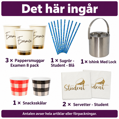 Det här ingår i Studentens kalla dryckesbar för tjugofyra – is och salta tilltugg