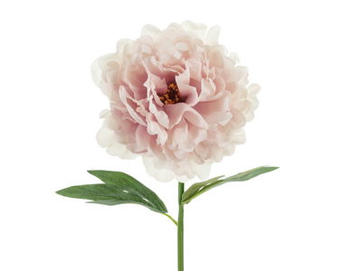 Konstgjord Blomma Pion Ljusrosa