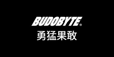BudoByte