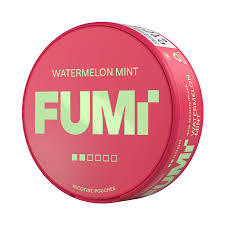 Fumi - Watermelon Mint Mini