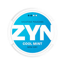 Zyn: Cool Mint Mini