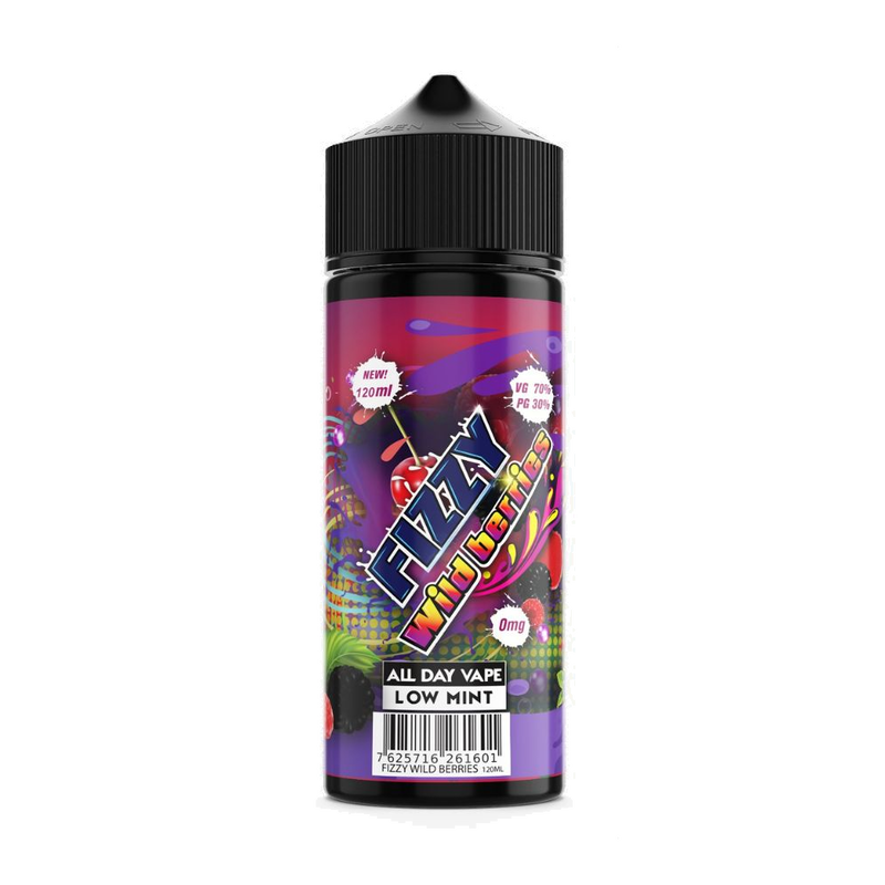 Fizzy - Wild Berries 100ml