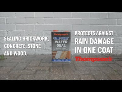Thompsons One Coat Water Seal 5lit