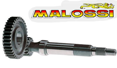 Drevkit Gilera Runner/Etc 14-39 Malossi