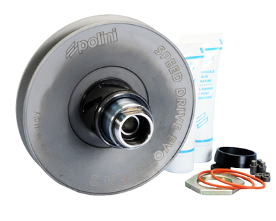 Bakvariator Piaggio Polini speed drive